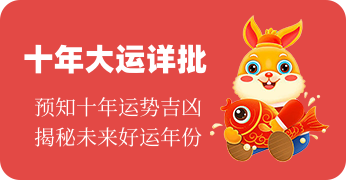 十年大运详批接口