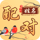 姓名配对接口